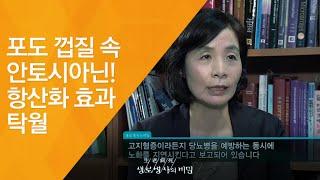 포도 껍질 속 안토시아닌! 항산화 효과 탁월 - (2011.7.30_380회 방송)_신이 빚은 과일, 포도