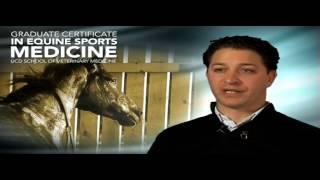 UCD Graduate Certificate in Equine Sports Medicine