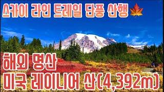 해외 명산 미국 워싱턴주 레이니어산 4,392미터 단풍 산행! 가을 단풍 부터 겨울 빙하까지 한번에 즐길 수 있는 산!