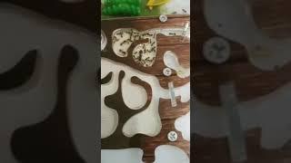 Заселение муравьёв, наш формикарий.