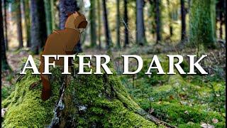 After Dark | Warrior Cats OC || Animation Meme