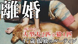 離婚が決まってからも妻が家にいる孤独な男の日常