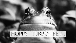 Crypto Reading  - HOPPY - TURBO - FET 