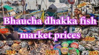 Bhaucha dhakka fish market prices