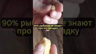 90% рыбаков не знают про эту насадку #рыболовная #рыбалка #рецепт