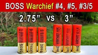 Are 3" Bismuth Shotshells Worth It? BOSS Warchief TESTED