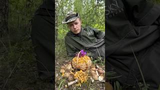14 июня 2025 Беларусь ! Белые грибы, подосиновики и БЕЗЛИМИТНОЕ количество лисичек!