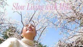Healing in Sakura | Embracing Loss and Renewal with Cherry Blossoms