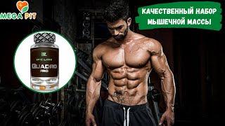 SARMs (САРМс)/Epic Labs (Эпик Лабс)/Quadro Pro (Куадро Про) 60 капсул