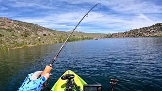 Eastern Sierra Trout Fishing - Rush Creek & Grant Lake (How to - Tips and Tricks)