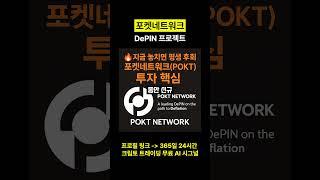 포켓네트워크 탈중앙화 인프라 DEPIN 프로젝트 POKT #포켓네트워크
