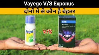 Vayego vs Exponus किसका कितना दम || Exponus और Vayego दोनों में से कौन है बेहतर