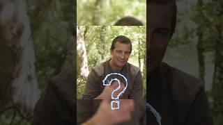 UNTOLD STORY OF BEAR GRYLLS!!  #informative #manvswild