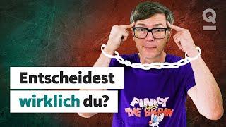 Freier Wille: Was sagt die Wissenschaft? | Ralphs Universum | Quarks