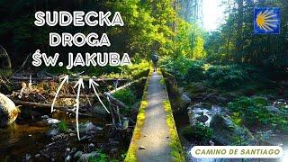 Sudecka Droga Św. Jakuba (Camino de Santiago)| Międzygórze - Lubań | 270 km | 10 dni | Camino Polska