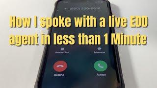 California EDD | How I spoke with a live EDD agent in less than a minute