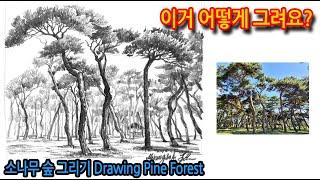 티노씨드로잉 [13강]소나무숲 그리기drawing pine forest#How do I draw this?#WithMe#StayHome#집에서함께그림그려요.