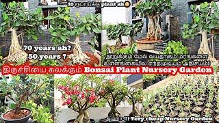 போன்சாய் மரம் வளர்ப்பு|மலிவு விலையில் போன்சாய் மரம் | BODHI BONSAI NURSERY  |ITS ALL ABOUT| EP 66