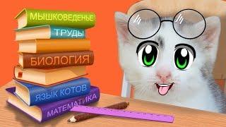 ШКОЛА КОТОВ: НОВЫЕ УРОКИ! КОТ МАЛЫШ и Кошечка МУРКА 24 ЧАСА В ШКОЛЕ! БАФФИ УЧИТ КОТЯТ Back To School