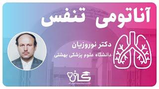 آناتومی تنفس - حنجره - ( part 3 )