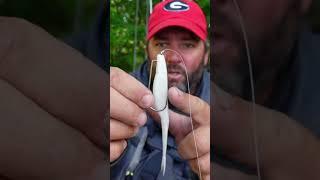 Fluke Tricks 