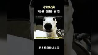 女人这是梦游了吗？#奇闻异事 #诡异