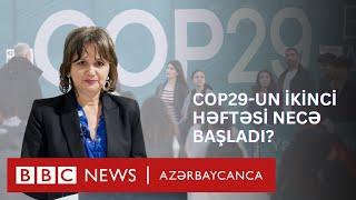 COP29-un ikinci həftəsi necə başladı? - təhlil