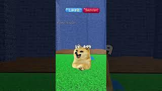 That friend that helped you  #bloxfruits