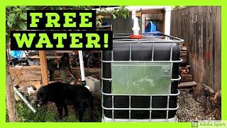  Rainwater Collection System Design - DIY Rainwater Harvesting