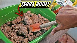 Como deixar qualquer terra boa para plantar! Simples e Rápido