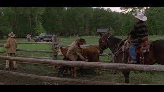 The Horse Whisperer - going to Montana