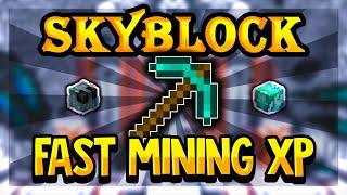 The FASTEST Way To Get Mining XP in Hypixel Skyblock!! (Mining XP Guide)