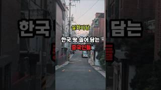 중국인, 한국 땅 이제 못 산다???
