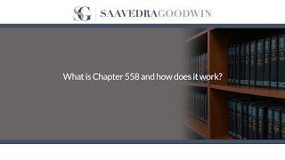 What is Chapter 558 and how does it work?