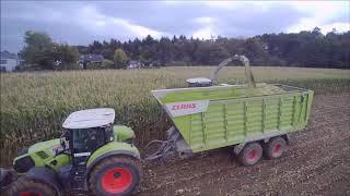 Maishäckseln 2019 Lohnbetireb Max Wagner/Claas Jaguar/Claas Axion/John Deere