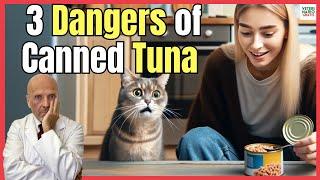  CAN CATS EAT CANNED TUNA 