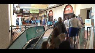 Why Attend the NAVC Conference? Attendees From 2014 Explain