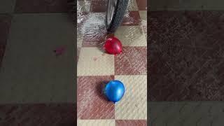 Crushing crunchy & soft things | Breaking balloons by bike #shorts #viralvideo #asmr #crush