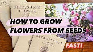 HOW TO GROW FLOWERS FROM SEEDS FAST | Garden Series Episode 3