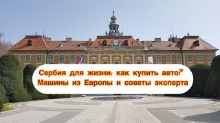 Сербия для жизни: как купить авто? Машины из Европы и советы эксперта.