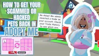 HOW TO GET YOUR SCAMMED OR HACKED PETS BACK IN ADOPT ME!||@OMG1TSSLAYROBLOX