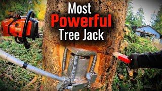 Busting Out The BIGGEST Tree Jack Ever! 150ft Tree Takedown!