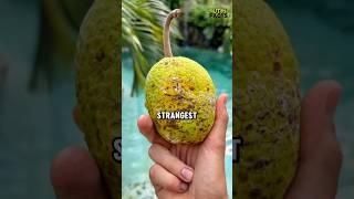 Top 5 Strangest Fruits You've Never Heard Of #6