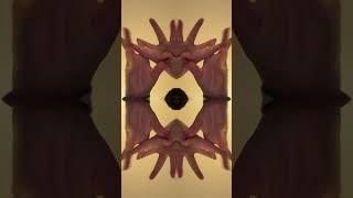Kaleidoscope trend
