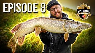 SHOCK when perch fishing - landing net too small ⁉️ | YPC Bank Episode 8