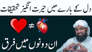 Interesting Facts about Heart | Dil (Heart) ke Bare mein Tahkeekat | Soban Attari