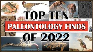 Top Ten Paleontology Finds of 2022