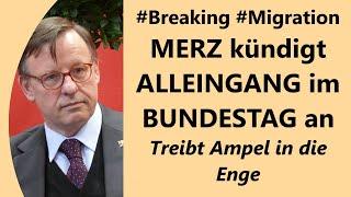 Wie Ernst meint es Merz: Werden Brandmauern (temporär) abgerissen? FDP hofft Rettung. Beißt SPD zu?