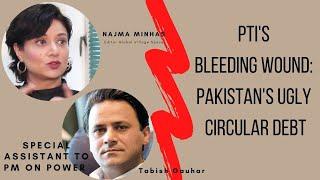 PTI's bleeding wound: Pakistan's ugly circular debt