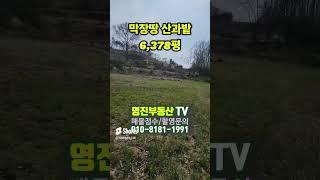 (가격인하!)충북보은 막장땅 임야와밭6,378평 귀농귀산 매2억7천 #보은부동산 #shorts